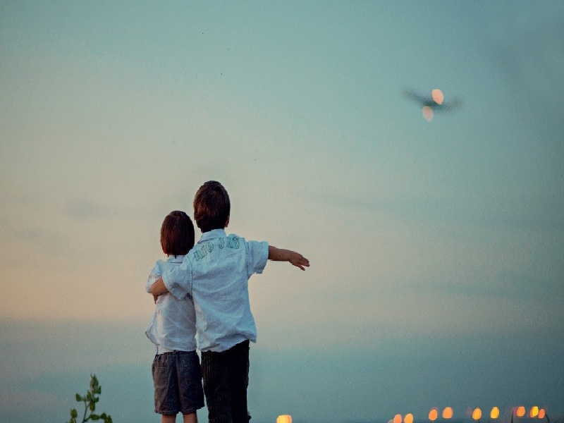 李先生夫妇成功案例